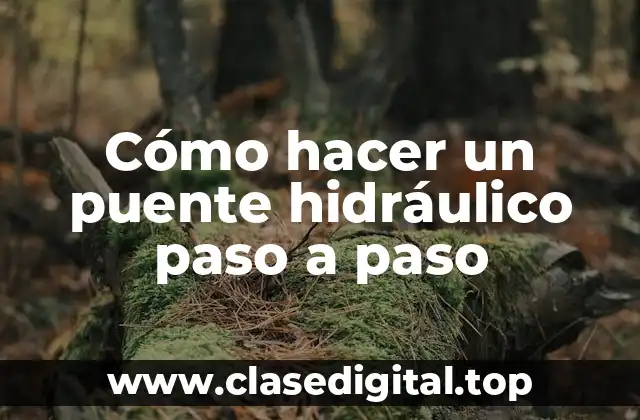 Cómo hacer un puente hidráulico paso a paso