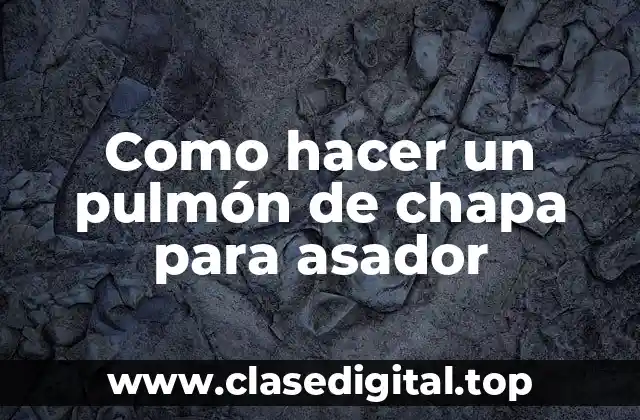 Que es un pulmón de chapa para asador y para que sirve