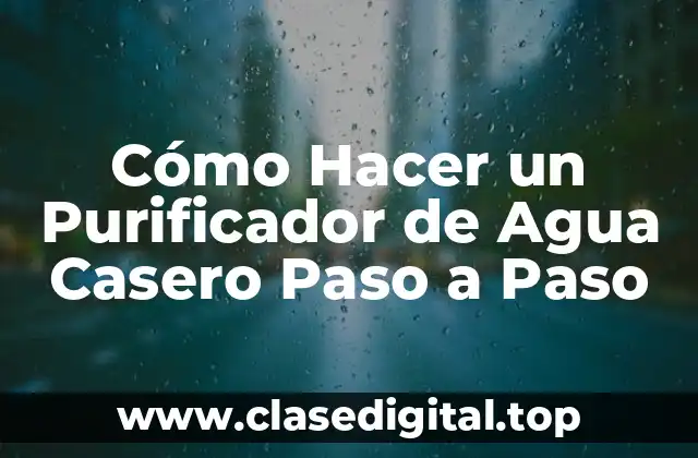 Cómo Hacer un Purificador de Agua Casero Paso a Paso