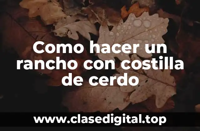 ¿Qué es un rancho con costilla de cerdo y para qué sirve?