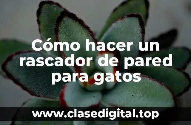 Cómo hacer un rascador de pared para gatos