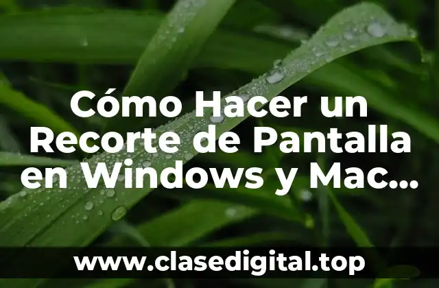Cómo Hacer un Recorte de Pantalla en Windows y Mac (Guía Completa)