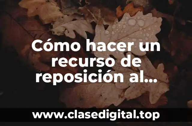 Cómo hacer un recurso de reposición al catastro