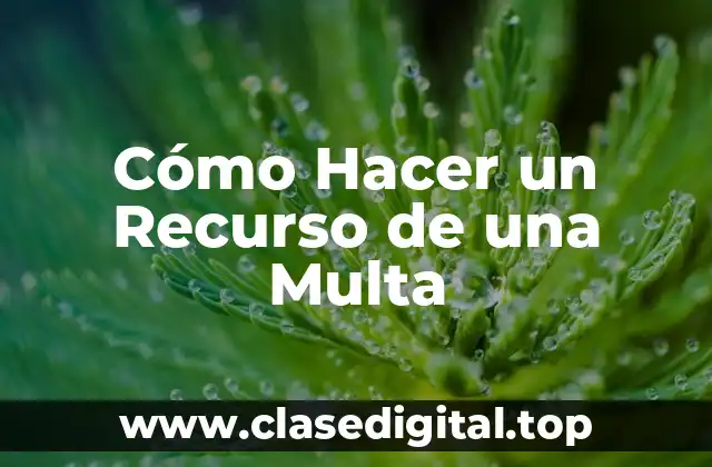 Cómo Hacer un Recurso de una Multa