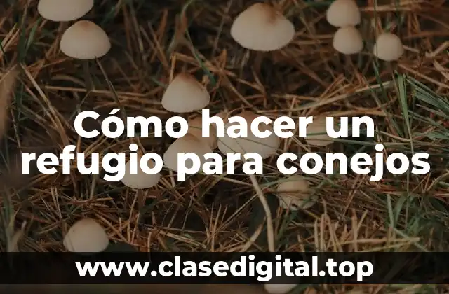 Cómo hacer un refugio para conejos