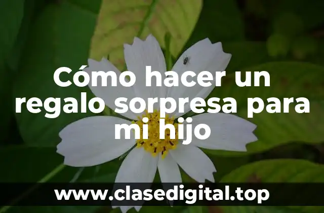 Cómo hacer un regalo sorpresa para mi hijo