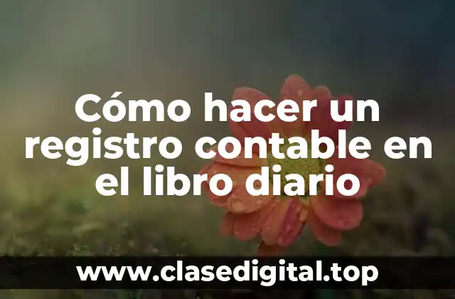 ¿Qué es un registro contable en el libro diario?