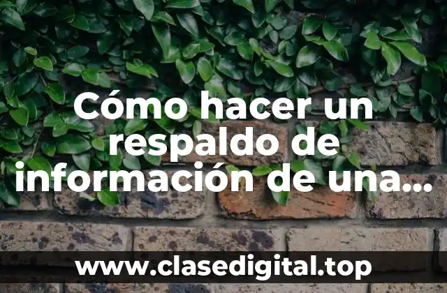 Cómo hacer un respaldo de información de una computadora