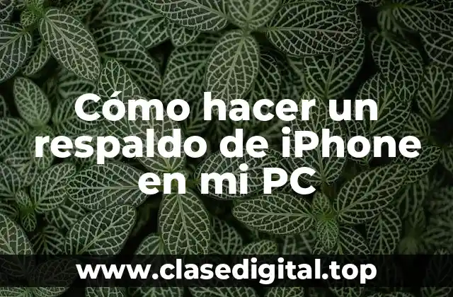 ¿Qué es un respaldo de iPhone y para qué sirve?