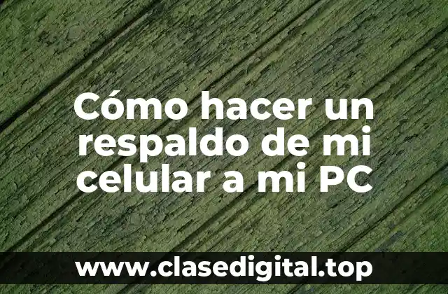 Cómo hacer un respaldo de mi celular a mi PC