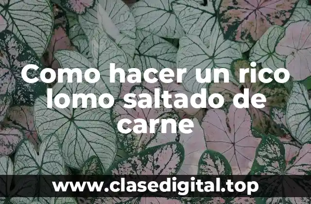 Como hacer un rico lomo saltado de carne