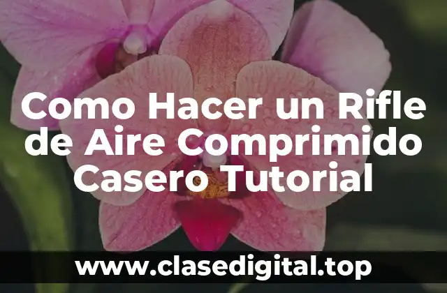 Como Hacer un Rifle de Aire Comprimido Casero Tutorial
