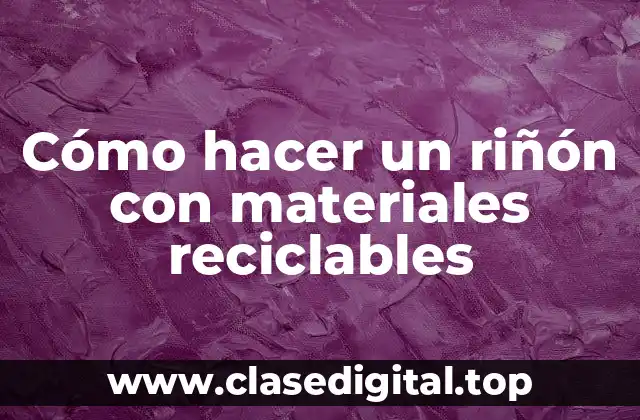 Cómo hacer un riñón con materiales reciclables