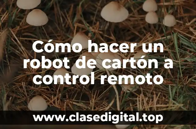 Cómo hacer un robot de cartón a control remoto