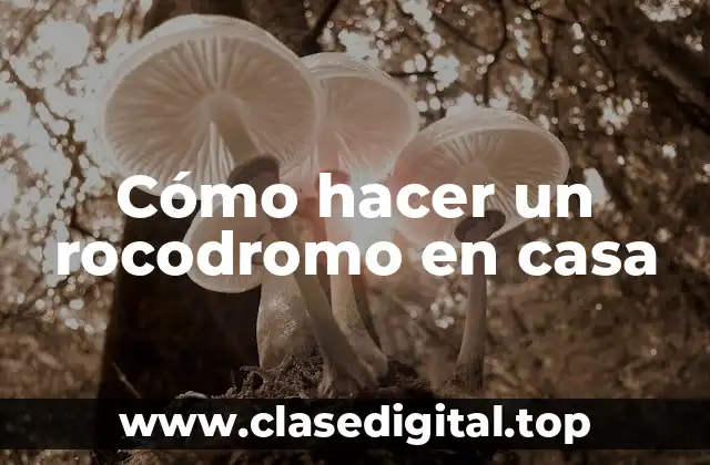 Cómo hacer un rocodromo en casa