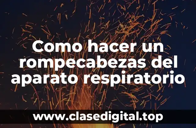 Como hacer un rompecabezas del aparato respiratorio