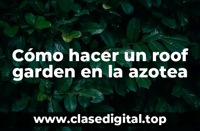 ¿Qué es un roof garden y para qué sirve?