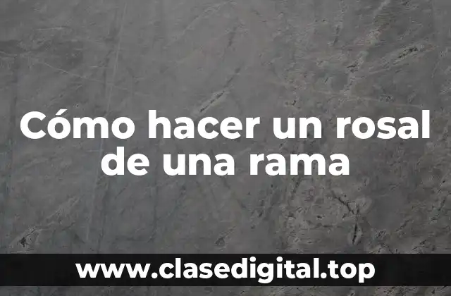 Cómo hacer un rosal de una rama