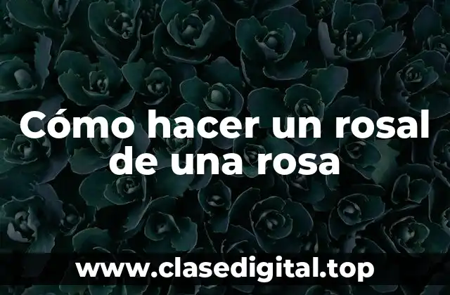 Cómo hacer un rosal de una rosa