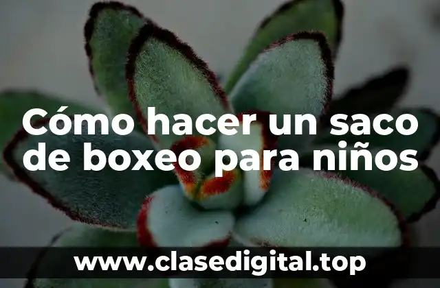 Cómo hacer un saco de boxeo para niños