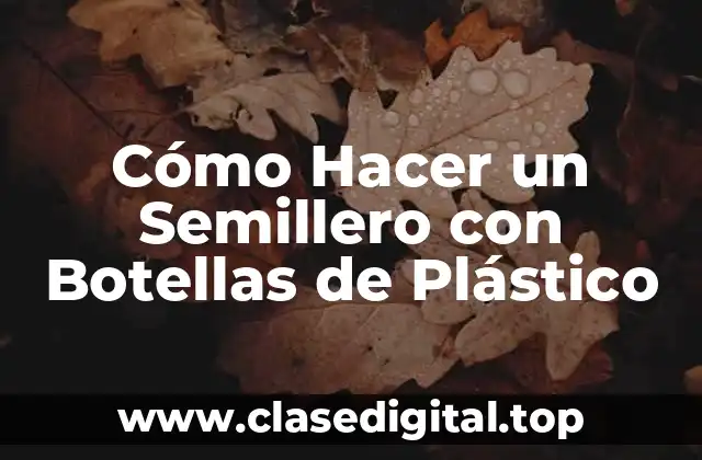 Cómo Hacer un Semillero con Botellas de Plástico