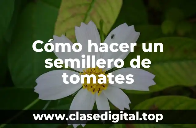 Cómo hacer un semillero de tomates