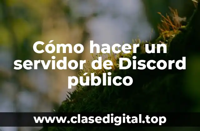 Cómo hacer un servidor de Discord público