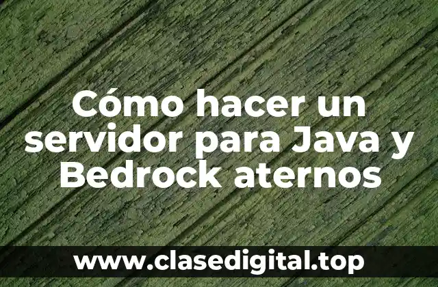 Cómo hacer un servidor para Java y Bedrock aternos