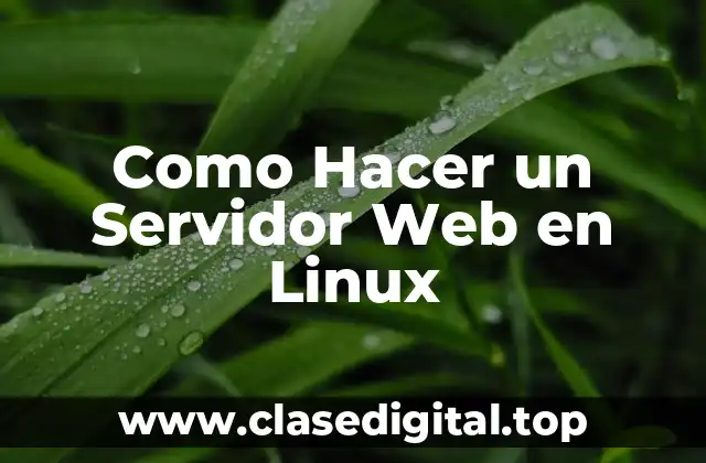 Como Hacer un Servidor Web en Linux