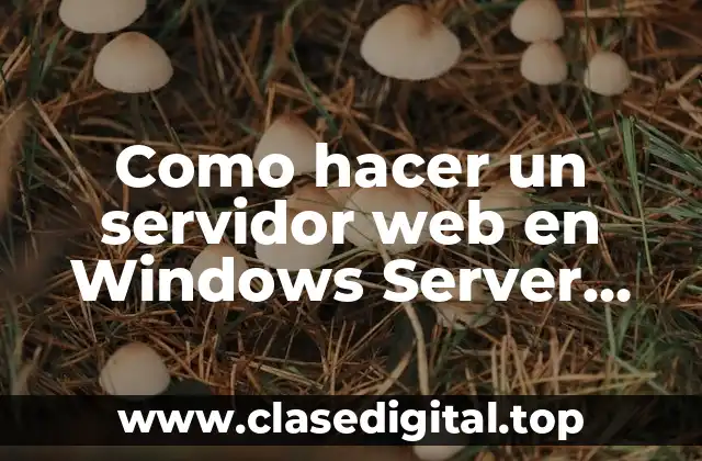 Como hacer un servidor web en Windows Server 2008