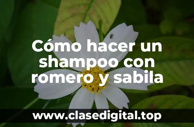 Cómo hacer un shampoo con romero y sabila