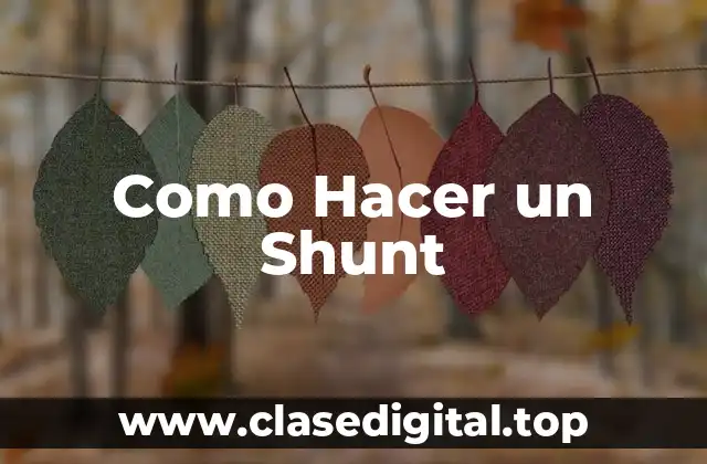 ¿Qué es un Shunt?