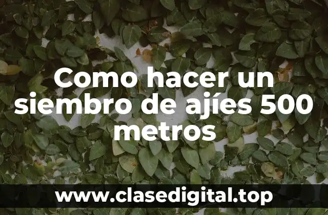 Como hacer un siembro de ajíes 500 metros
