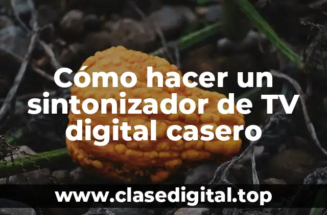 Cómo hacer un sintonizador de TV digital casero