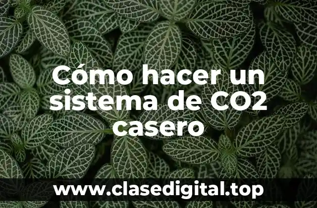 Cómo hacer un sistema de CO2 casero