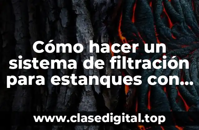 Cómo hacer un sistema de filtración para estanques con peces koi