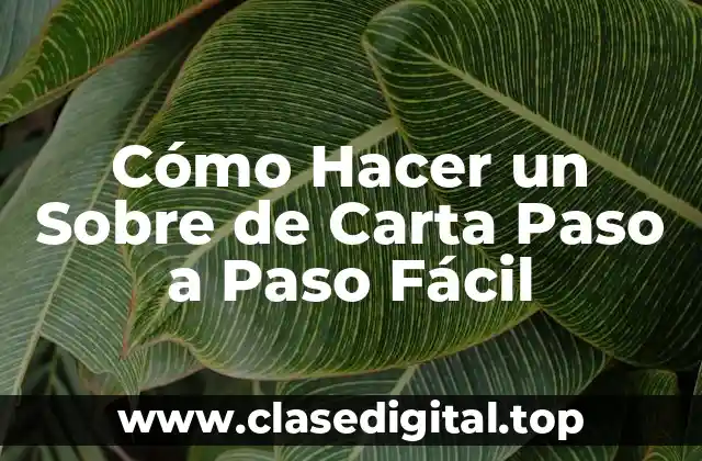 ¿Qué es un Sobre de Carta y Para Qué Sirve?