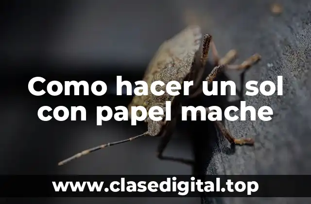 ¿Qué es el papel mache y cómo se utiliza para crear un sol?