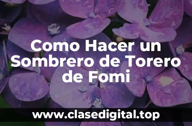 ¿Qué es un Sombrero de Torero de Fomi?