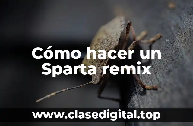 ¿Qué es un Sparta remix?