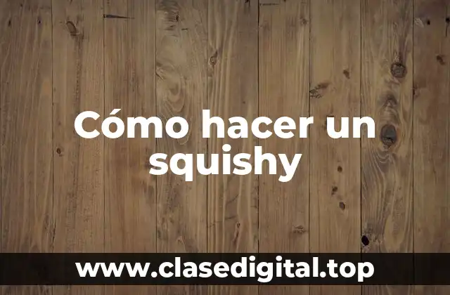 ¿Qué es un squishy?