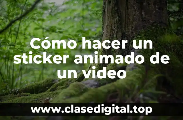 Cómo hacer un sticker animado de un video