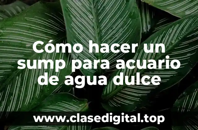 Cómo hacer un sump para acuario de agua dulce