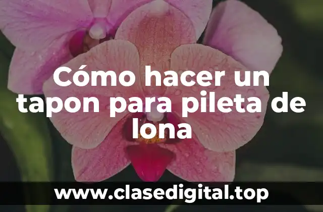 Cómo hacer un tapon para pileta de lona