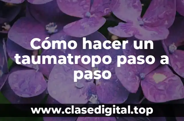 Cómo hacer un taumatropo paso a paso