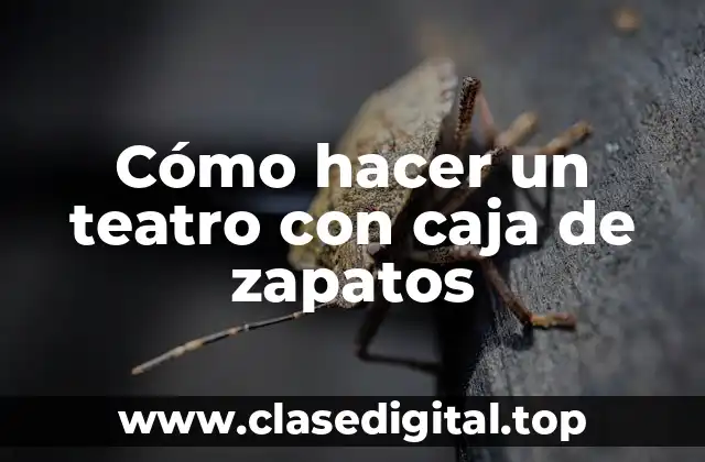 Cómo hacer un teatro con caja de zapatos