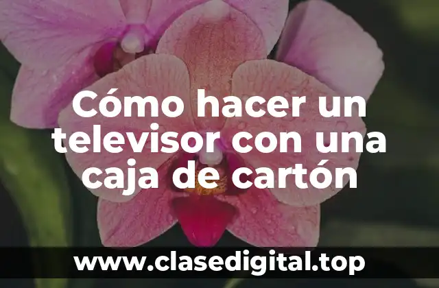 Cómo hacer un televisor con una caja de cartón