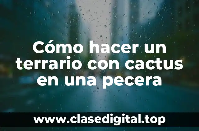 Cómo hacer un terrario con cactus en una pecera