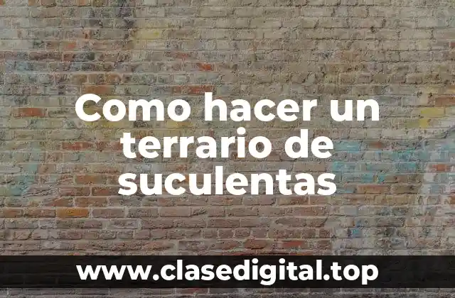Como hacer un terrario de suculentas