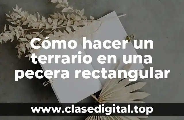 Cómo hacer un terrario en una pecera rectangular